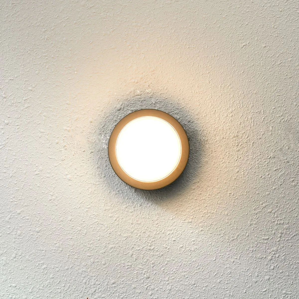 Rosta, kinkiet zewnętrzny, czarny, z białym kloszem, nowoczesny, OWL-3062-S-4K, LED, 4000K