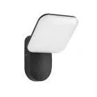 Nammi, czarny, nowoczesny kinkiet ogrodowy, OWL-6206-3K, LED, 3000K